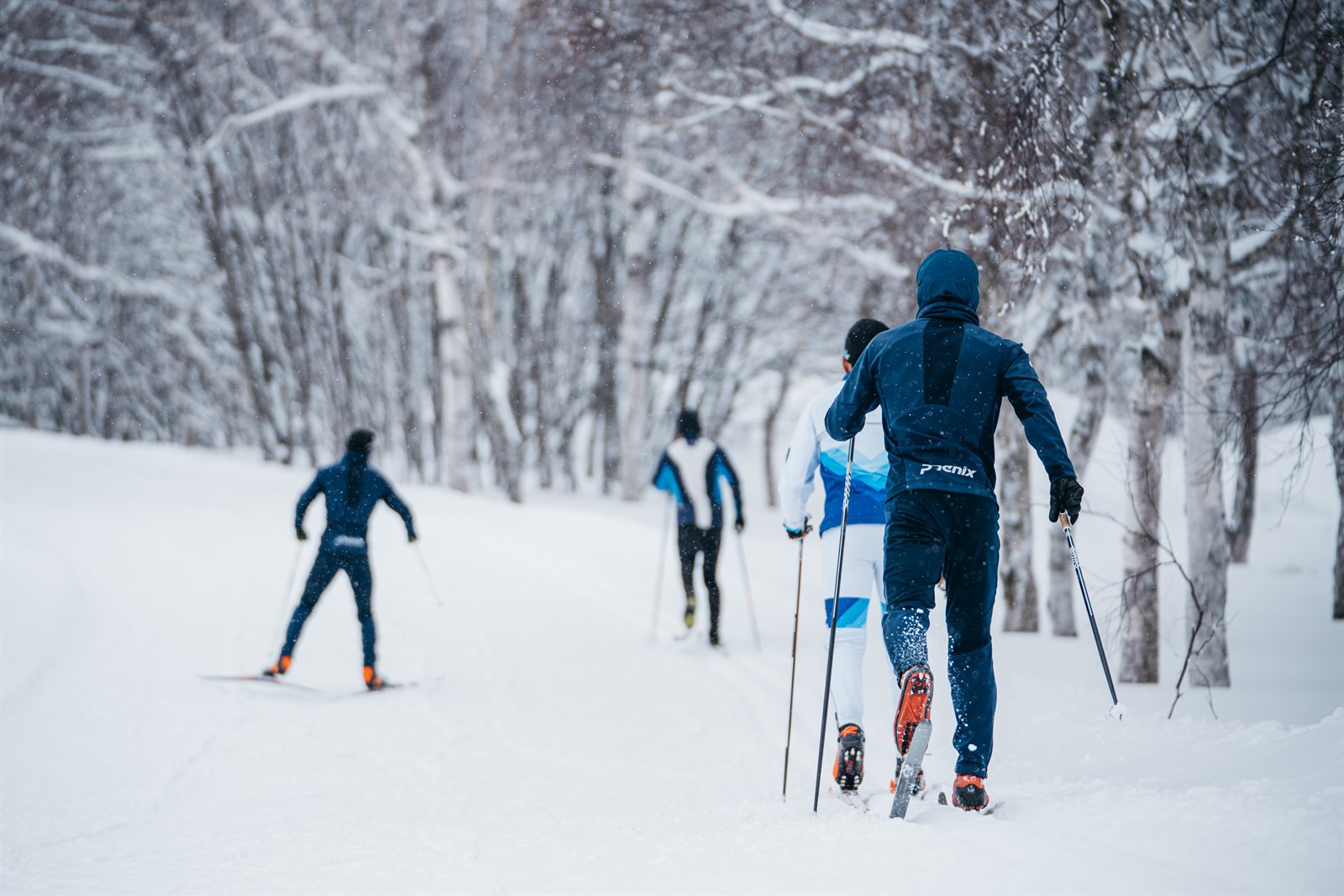 Winter Cross-Country Course