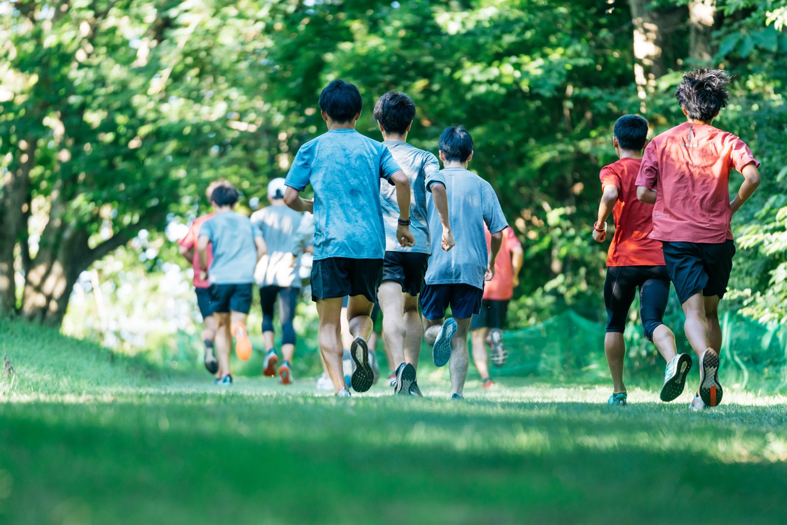 Summer Cross-Country Course